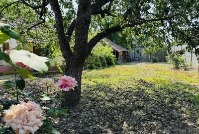 Casa 3 Camere - loc. Ciacova - 0% Comision - 15