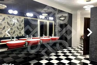 Spațiu comercial, de 2,900 mp, în Băile Felix - 3