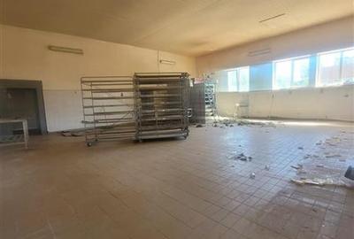 Spațiu comercial, de 750 mp, în Zona Industrială - 7