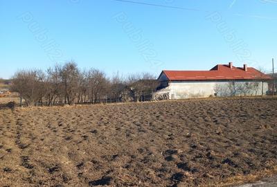 Teren de 1500 mp, în Borșa - 2