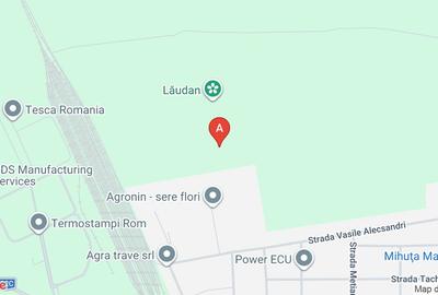 Teren agricol extravilan de 78483 mp, în Central - 1