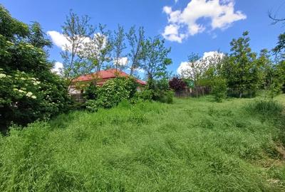 TEREN INTRAVILAN, 602 MP, REDIU - 2