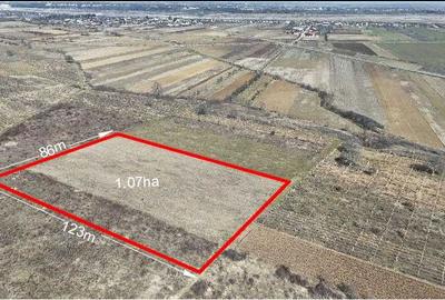 Teren de 21400 mp, în Bolotești - 1