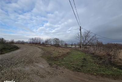 Spațiu comercial, în Paleu - 2