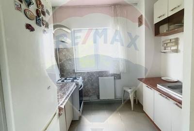 Apartament cu 2 camere semidecomandat, mobilat în Băneasa - 9