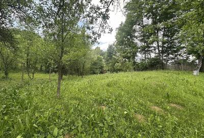 Teren de 2400 mp, în Telega - 2