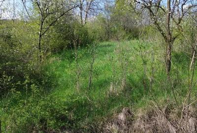 Teren de 2278 mp, în Jiblea Veche - 2