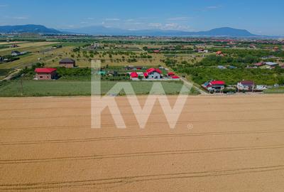 Teren Extravilan Sanpetru! Ideal pentru Investitie! - 9300 mp! - 2