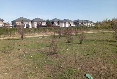 Militari ,Belsugului ,Pacii - 5