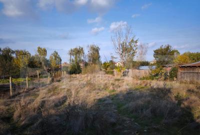 Teren de 1600 mp, în Cernele - 3