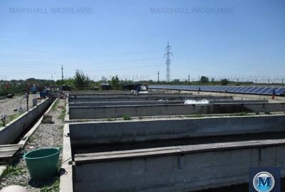 Spatiu industrial de vanzare, 2560 mp #15268 - 9