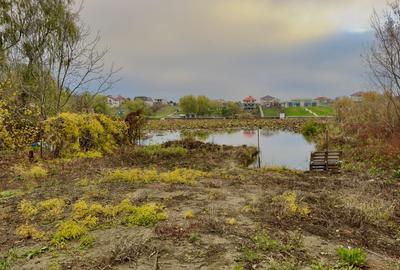 Teren Intravilan | Deschidere Lac Snagov | Ponton | Curatat | Toate utilitatile - 4