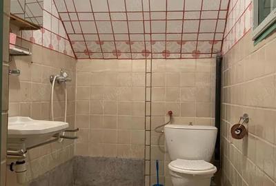 Casă cu Teren 2800 Mp în Muntele Băișorii - 2