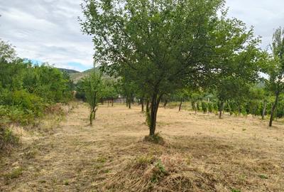 Terenuri intravilane alipibile in Runcu, zona cu potential - 5