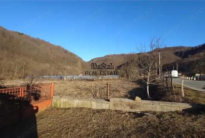 Proprietate in Apuseni - fosta pizzerie, ideala pentru afacere sau locuinta - 2