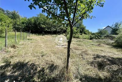 Casă cu 2 camere cu Teren 1940 Mp în Ciurea - 6