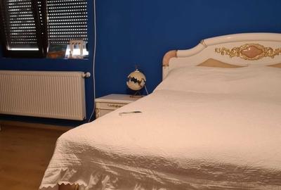 Duplex cu 7 camere cu Teren 250 Mp în Haliu - 3