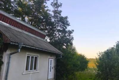 Casă cu 2 camere cu Teren 3500 Mp în Negostina - 1