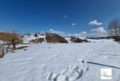 Teren De Vanzare In Sirnea - 26