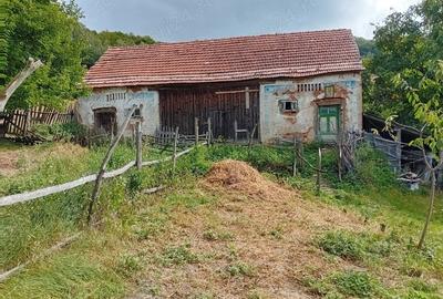 Teren de 50 mp, în Central - 5