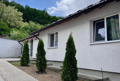 Casă cu Teren 867 Mp în Drăganu - 8