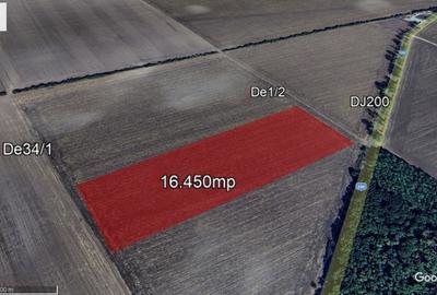 Teren agricol extravilan de 16450 mp, în Grădiștea - 4