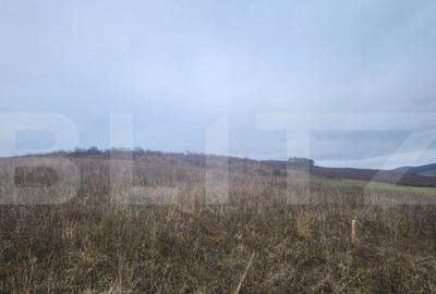 Teren intravilan 4774 mp de vanzare in Livezeni - 15