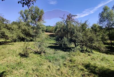 Teren intravilan in Remetea Chioarului - 9