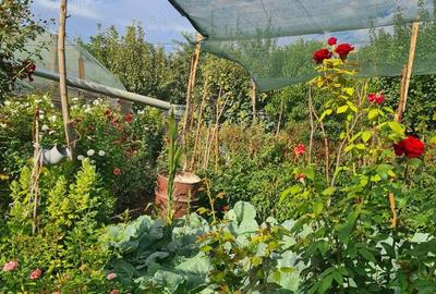 Casă în Șerbeștii Vechi - 1