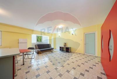 COMISION 0 | 70 MP | 2 CAMERE | RACADAU - 12