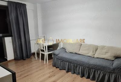 Apartament cu 2 camere decomandat, mobilat în Teiul Doamnei - 3