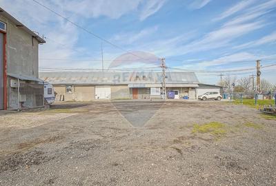 Spațiu industrial, de 1,255 mp, în Cernatu - 14