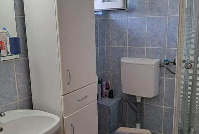 Apartament cu 3 camere semidecomandat, mobilat în Sub Arini - 9