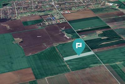 Teren 30.000 mp cu acces asfaltat Peciu Nou - 1