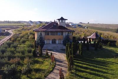 Proprietate Unica de Vanzare in Visani, Iasi - Resedinta si Investitie Turistica - 2