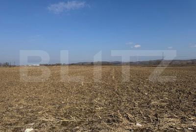 Teren de 2900 mp, în Central