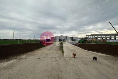 Fabrica de reciclare mase plastice - 4