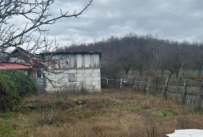 Casă cu 2 camere în Cocu - 1