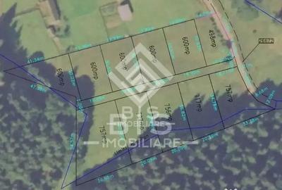 Teren de 6000 mp, în Sud - 1