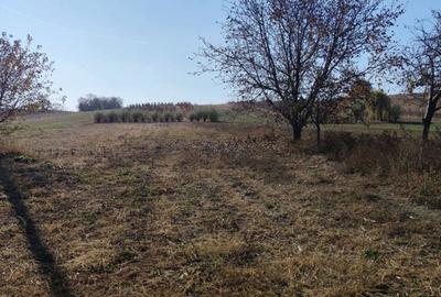 Teren de 3200 mp, în Schineni (Sascut) - 1
