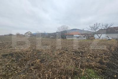 Teren de 9000 mp, în Central - 3