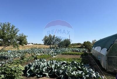 Casa de vanzare Fierbinti-Targ - 11