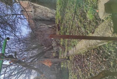 Casă cu 4 camere în Central - 12