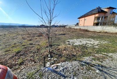Teren de 2988 mp, în Ostroveni - 2
