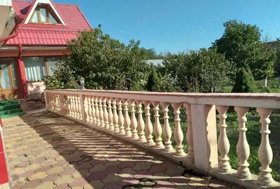 Vand-schimb Casa+spatiu comercial+moara porumb, moara ciocanele, 3000m - 7