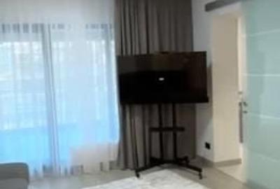 De inchiriat studio , Mall Vitan - 4