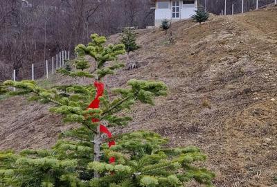 Casă cu 2 camere cu Teren 2700 Mp în Mânzălești - 3