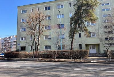 Apartament cu 1 camere decomandat, mobilat în Bartolomeu - 11