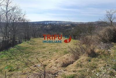 Teren intravilan de vanzare zona Paclisa - 2