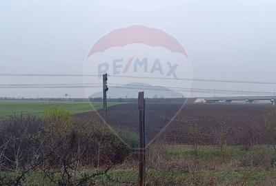 Teren de 5000 mp, în Tunari